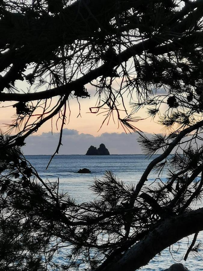 Appartement Pied Dans L'Eau La Seyne-sur-Mer Buitenkant foto