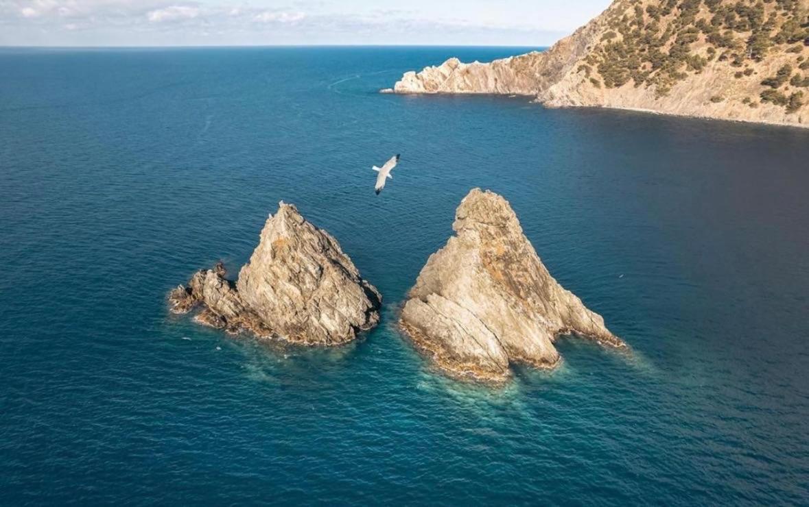 Appartement Pied Dans L'Eau La Seyne-sur-Mer Buitenkant foto